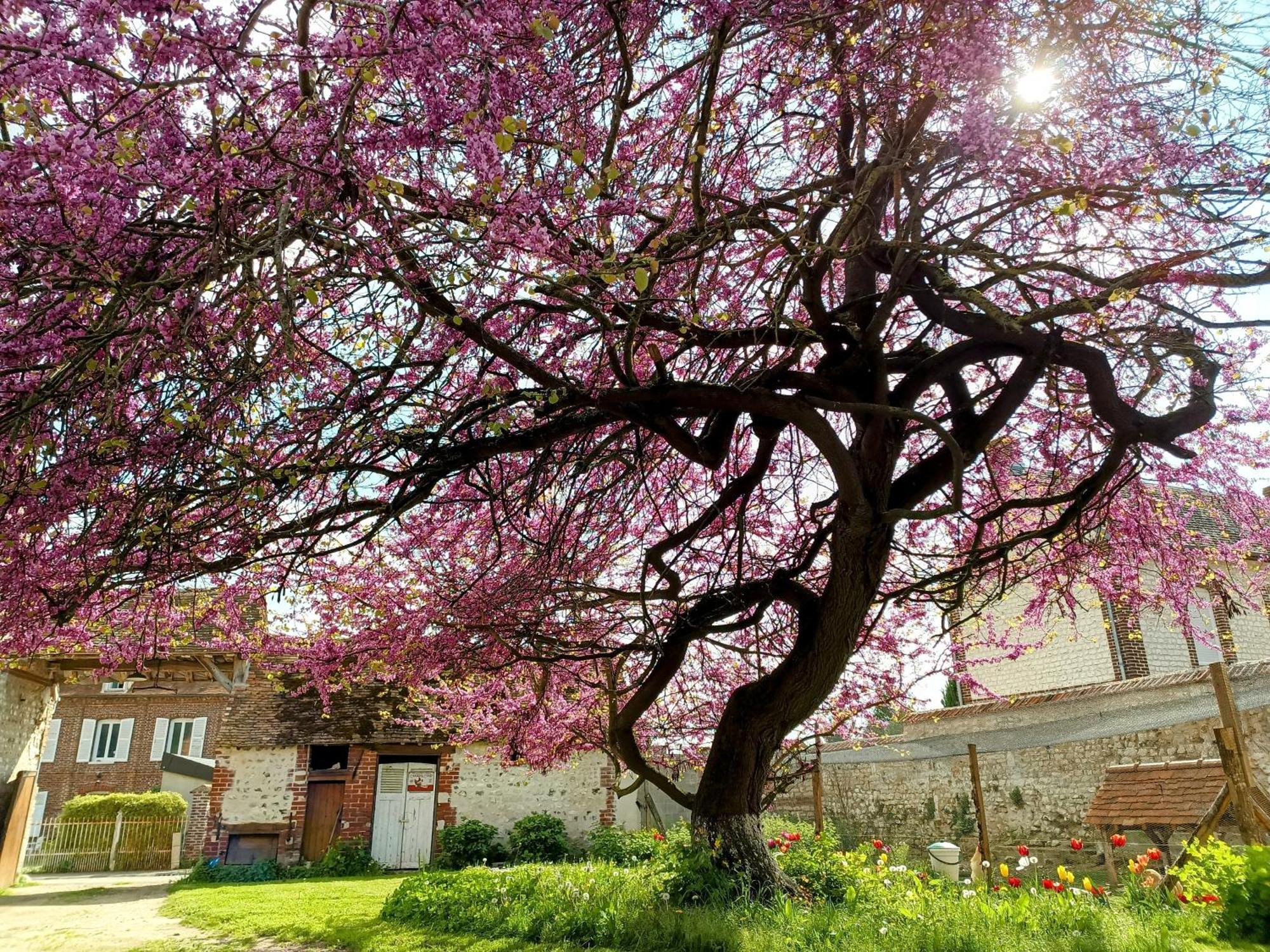 Les Jardins De Felicie Villa Poses ภายนอก รูปภาพ